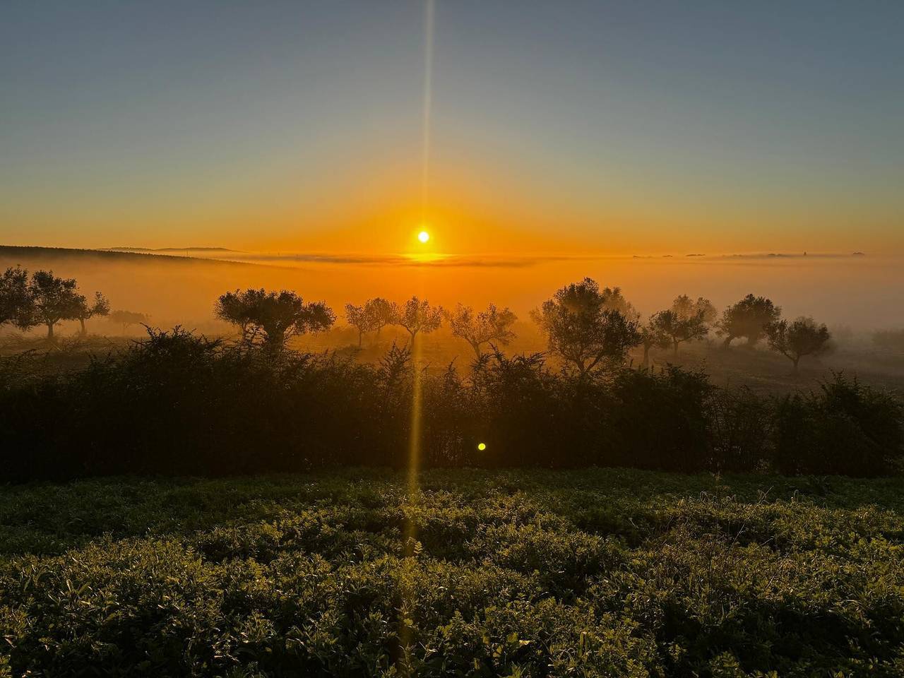 Casa de Férias 'Excelentíssimo' com Vista para o Lago, Wi-Fi e Ar Condicionado in Torrão, Alentejo Litoral