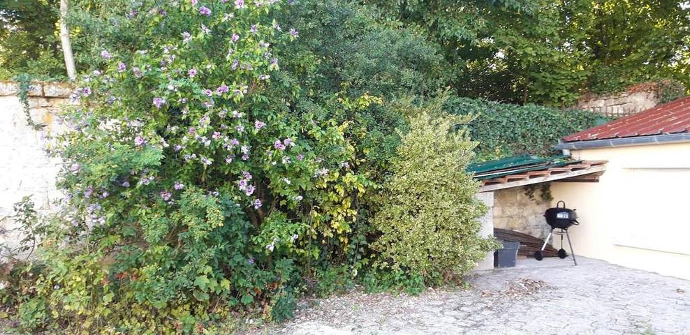 Location de vacances pour 2 personnes, avec vue ainsi que sauna et jardin à Venette - 4