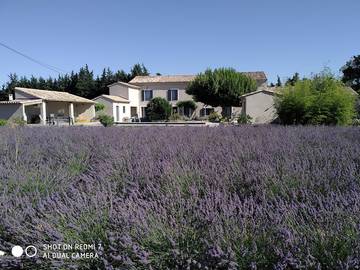 Chambre d’hôte pour 2 personnes, avec jardin et piscine dans le Vaucluse