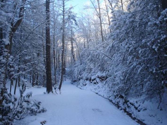 Vacation rental for 4 people, with hot tub and balcony, with pets in Wears Valley