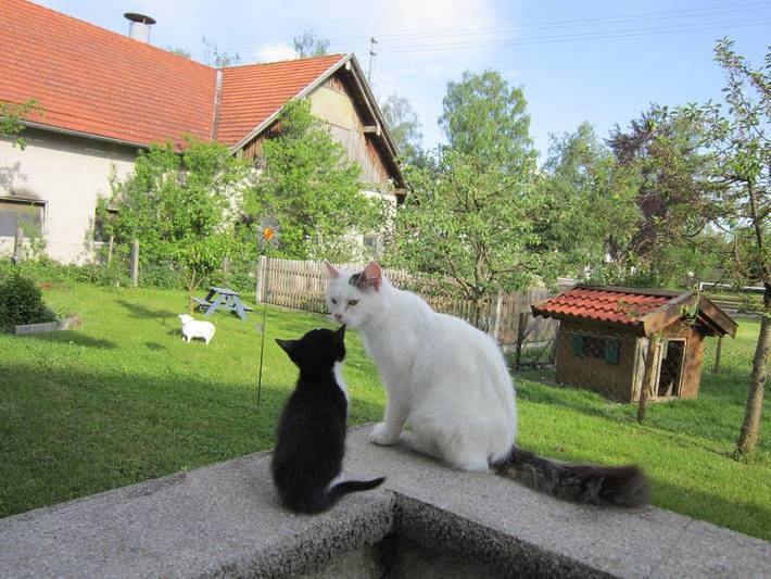 Ferienhaus für 2 Personen, mit Garten, kinderfreundlich in Deutschland - 2