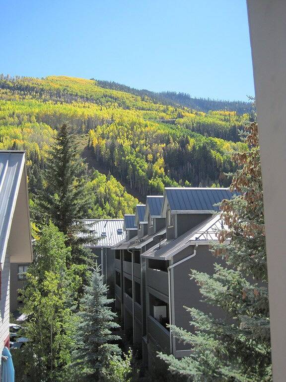 Ganze Wohnung, Atemberaubende Innenstadt Telluride Tri-Level! Lauf zu allem! in Telluride, Telluride Ski Resort