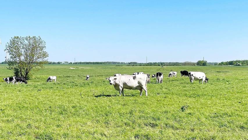 Ferienhaus für 7 Personen, mit Garten, mit Haustier in Helsingborg - 3
