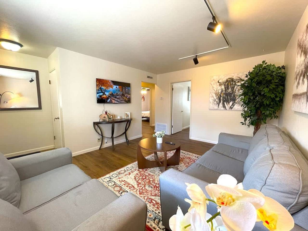 Campbell Cozy   Bright 2B 1b  Ac close to Downtown in Campbell, Silicon Valley