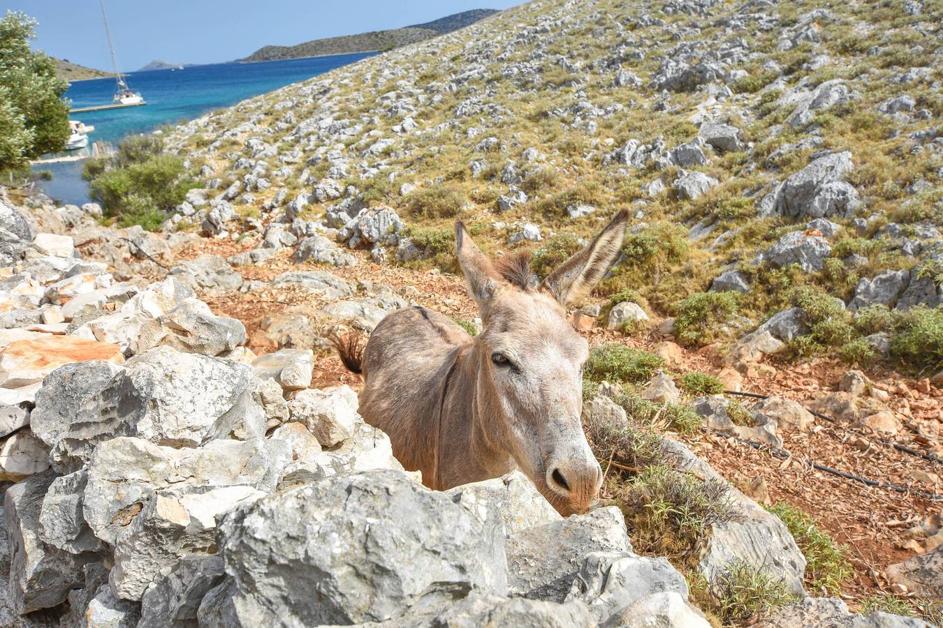House Mandica in Kornaten, Općina Murter-Kornati