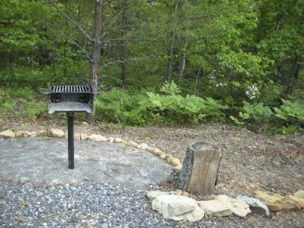 Neue Auflistung! Laurel Wood - 1 Schlafzimmer 1 Bad, Schlafen 4 in Monroe County (TN)