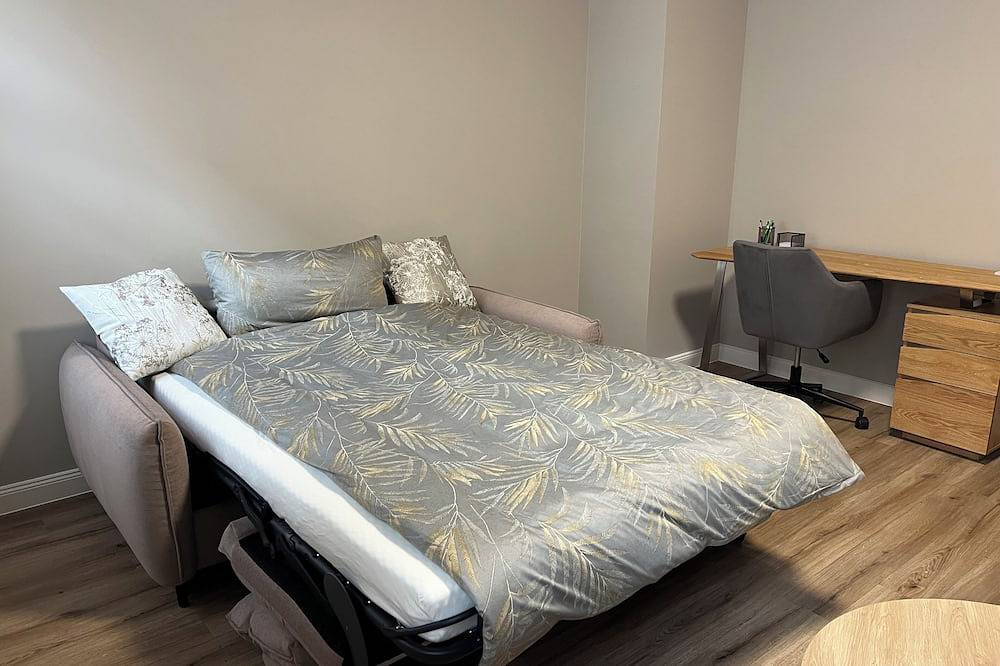 Ganze Wohnung, Citydreams mit Altbauflair die Premiumunterkunft in Lörrach bei Basel-Stadt in Lörrach, Südschwarzwald