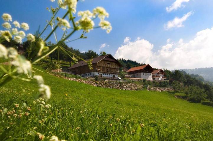 Ferienwohnung für 4 Personen, mit Ausblick und Garten - 1