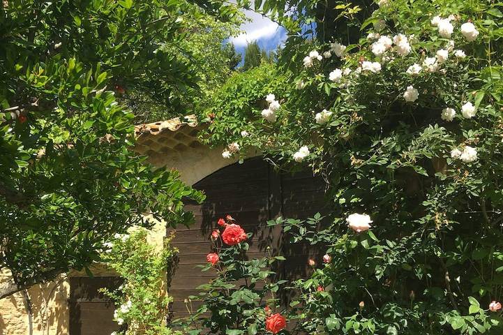 Chambre d’hôte pour 20 personnes, avec Jardin et Piscine à Piolenc
