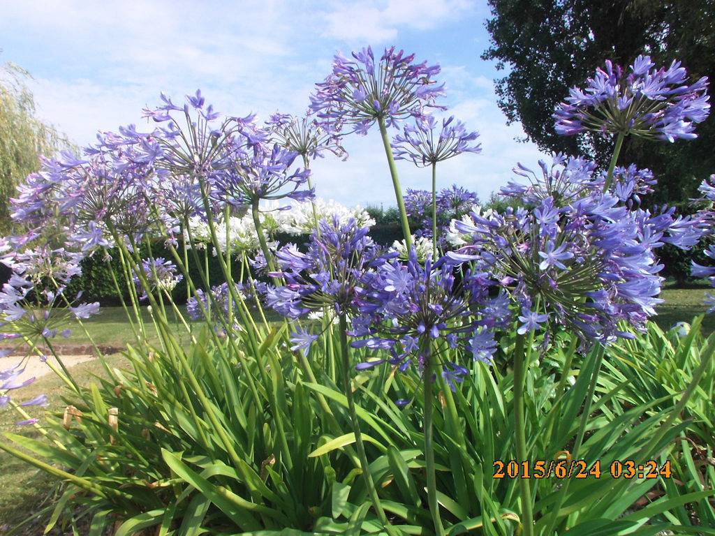 Chambre d'hôtes de La Vieux Ville - Chambre du bas in Trégomeur, Côte de Goëlo
