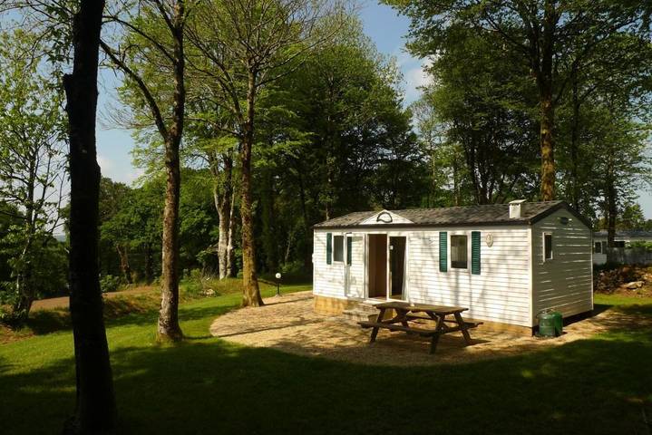 Offer view
