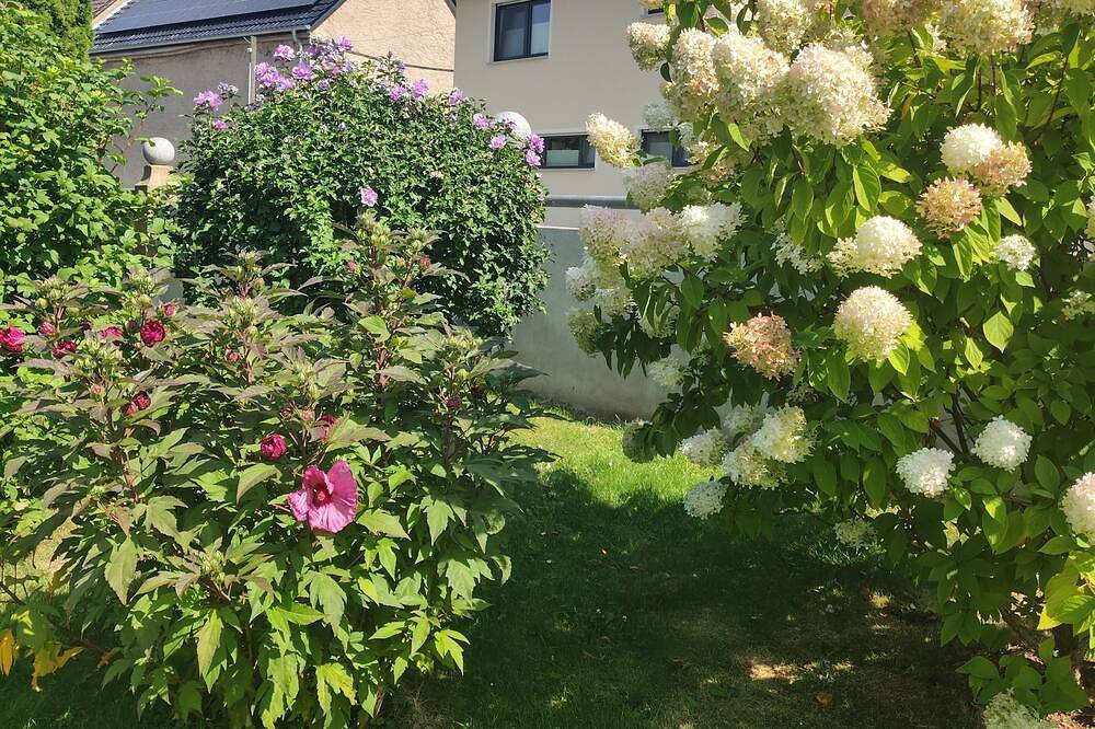 Hotel und Pension preiswert und gut in Hochkirch, Oberlausitz-Niederschlesien