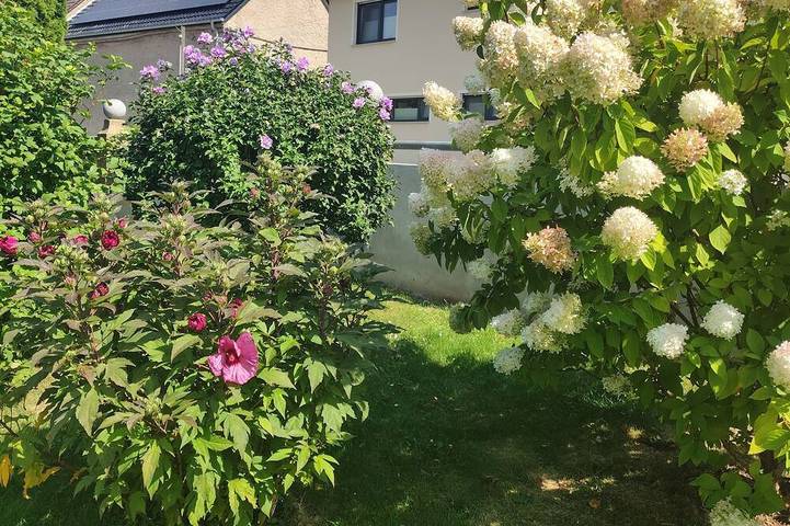 Hotel und Pension preiswert und gut in Hochkirch, Oberlausitz-Niederschlesien