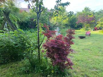 Ferienhaus für 5 Personen in Waldkirchen, Ostbayern, Bild 3