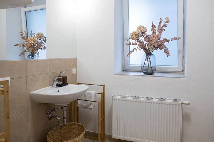 Ganze Wohnung, Komfortables Apartment im Zentrum der Stadt in Graz, Steirerland