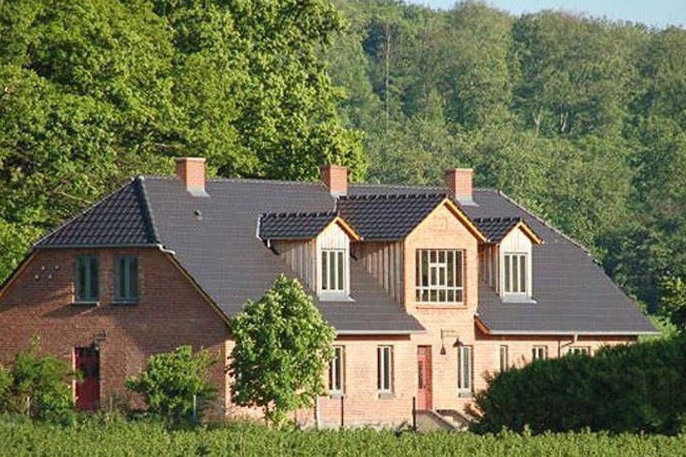 Entire apartment, Vacation apartment Gänseblümchen - I know a house by the forest... in Malchin, Kummerower See