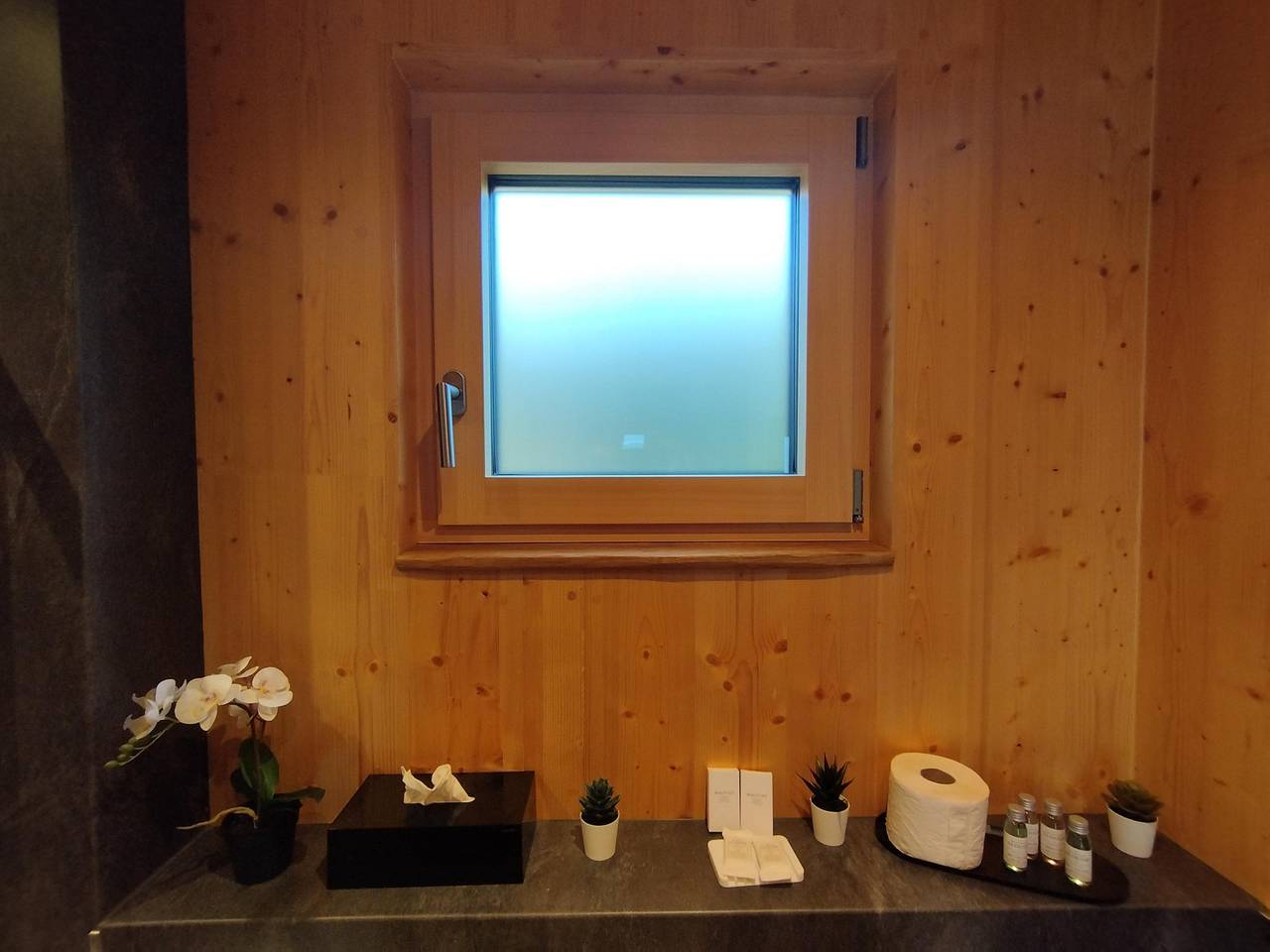Entire holiday apartment, Holiday home, shower and bath, toilet, terrace in Tux Alps, Pill