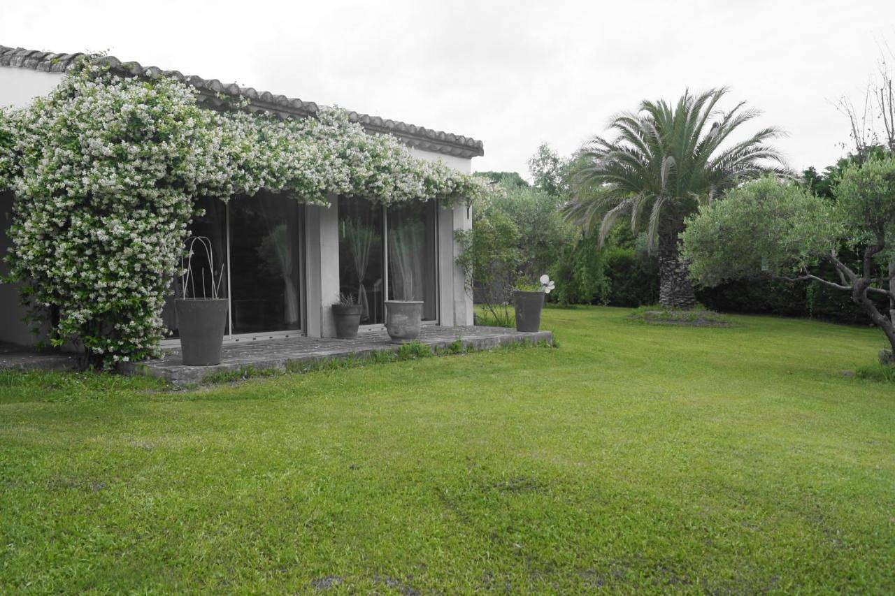 Studio au coeur de la petite camargue in Beauvoisin, Côte méditerranéenne (France)