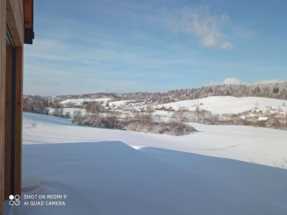 Domek na Wzgórzu in Karpaty (Polska)