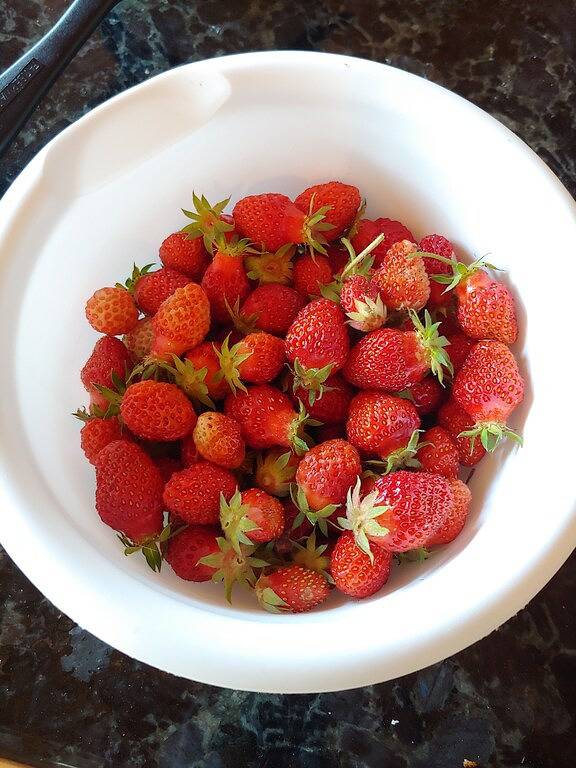 Die Hütte in Maggies Farm am rauschenden Tucker Creek, Forellenteich, Blue Ridge Pkwy in Transylvania County