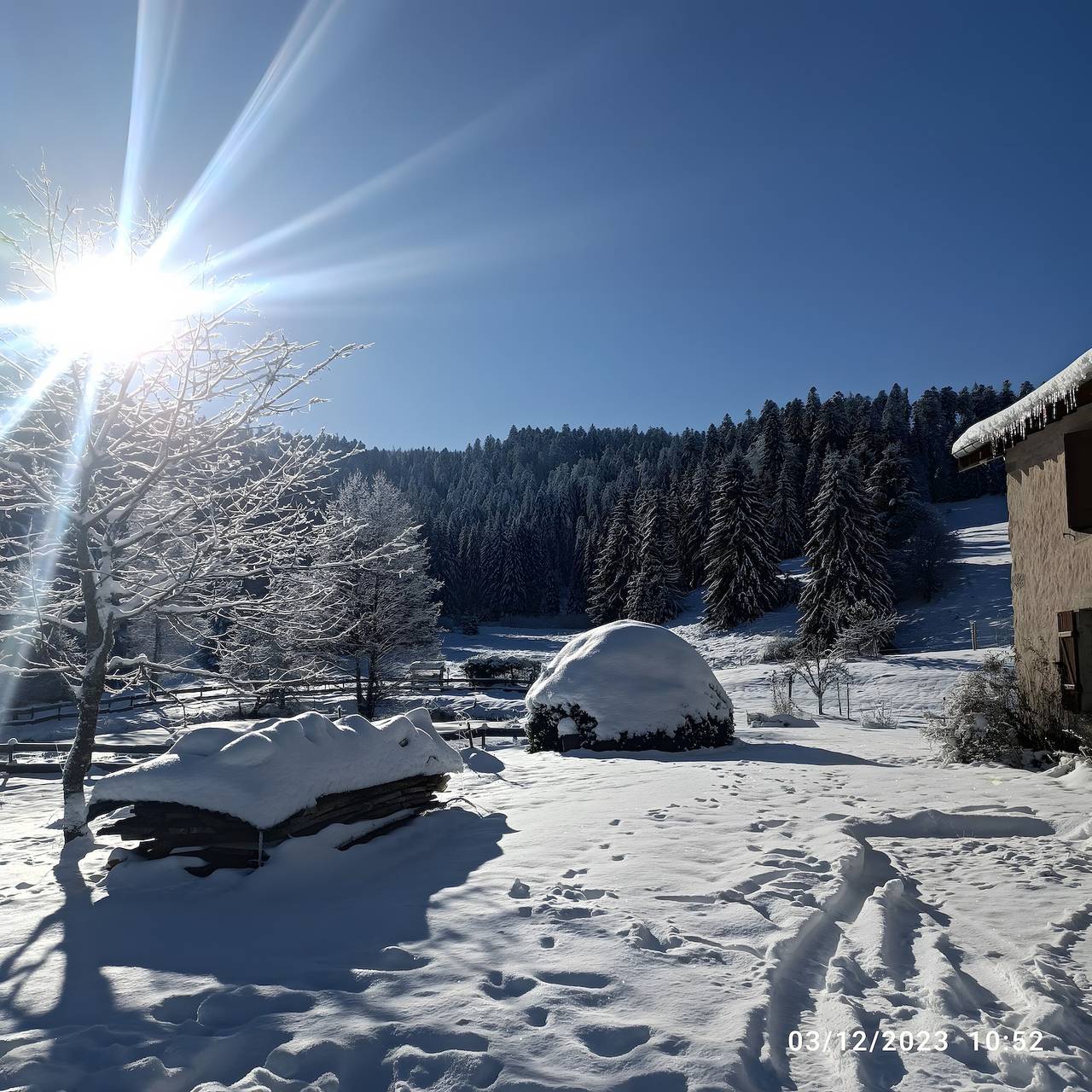 Gîte « Jonquille - La Petite Meuthe » avec vue montagne, jardin privé et Wi-Fi in Ban-sur-Meurthe-Clefcy, Parc naturel régional des Ballons des Vosges