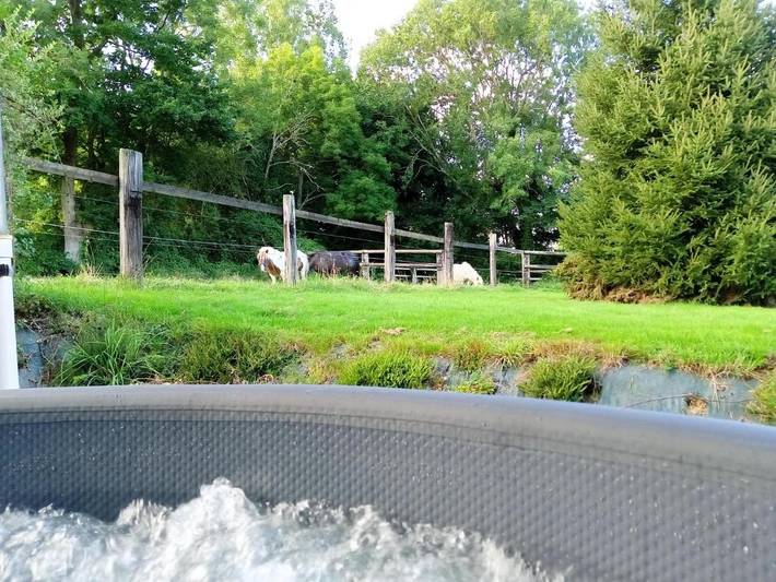 Chambre d’hôte pour 5 personnes, avec jardin et vue, animaux acceptés dans le Calvados - 3