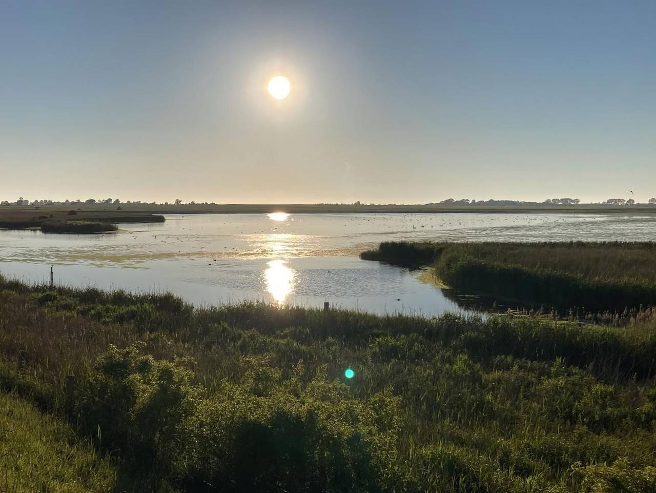 Ganze Ferienwohnung, L36Eg links - L36Eg links in Westfehmarn, Lemkenhafen
