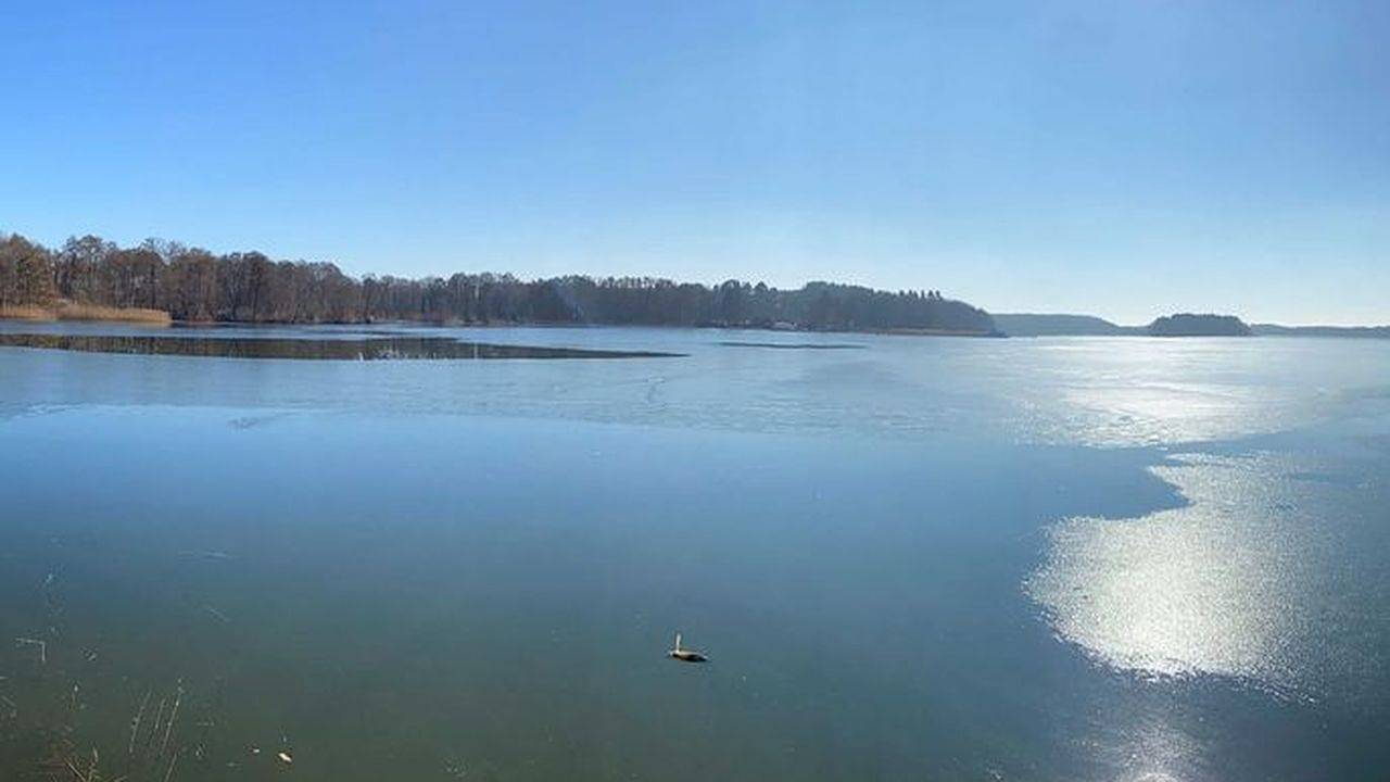 Boot für 6 Personen (50 m²) in Lychen in Lychensee, Lychen