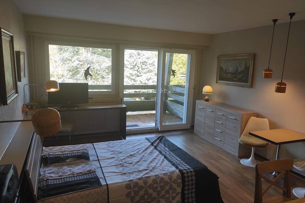 Appartement entier, Studio meublé 33m2 à louer in Grandfontaine (Bas-Rhin), Bas-Rhin Alsace