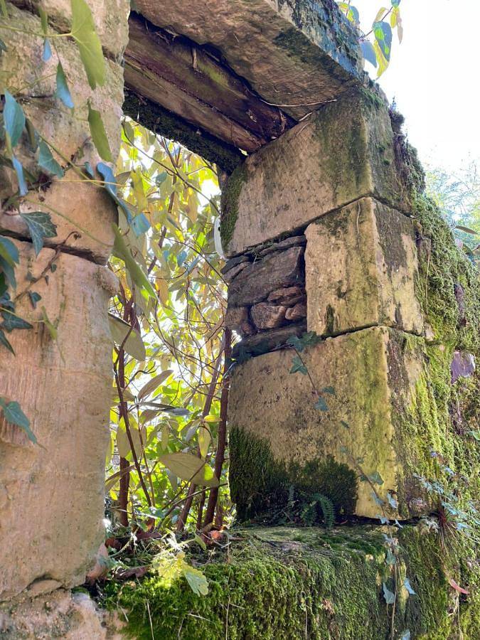 Gîte pour 4 personnes, avec piscine et jardin, animaux acceptés à Génis - 4