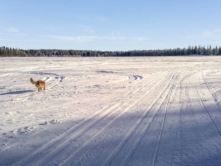 Villa tuulentupa in Rovaniemi, Laponie