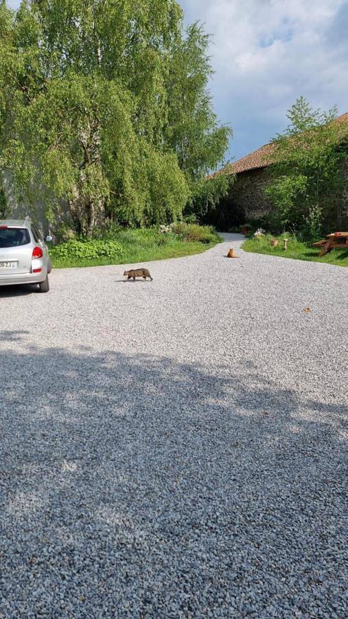 Appartement de vacances pour 2 personnes, avec vue et jardin dans les Deux-Sèvres - 4