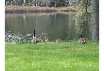 Glamping for 4 People in Stewartstown, New Hampshire, Photo 4