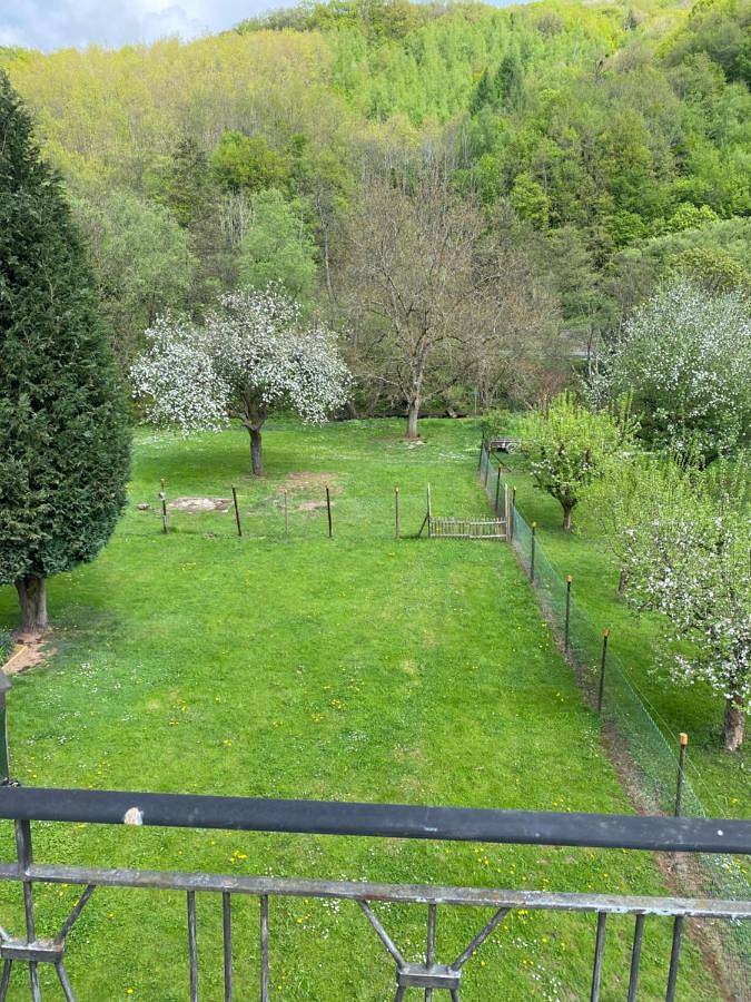Ferienhaus für 5 Personen, mit Garten und Ausblick, mit Haustier in Alf - 2