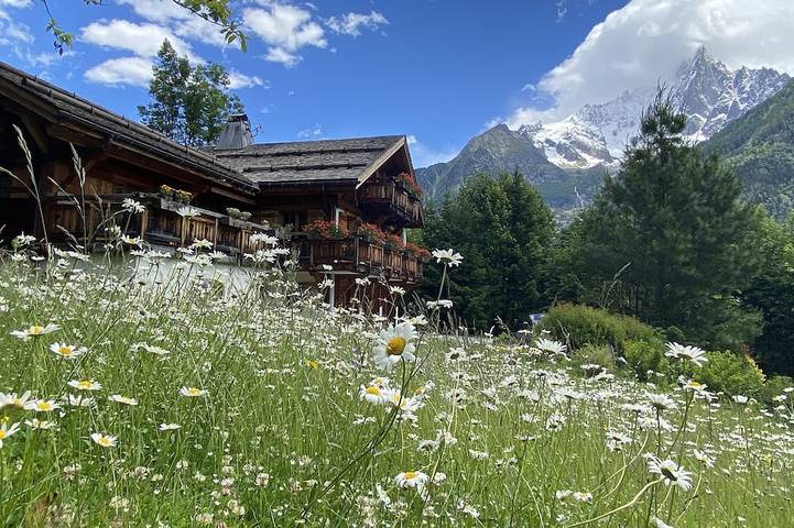 Vakantiewoning voor 12 personen, with tuin and whirlpool as well as sauna in Chamonix