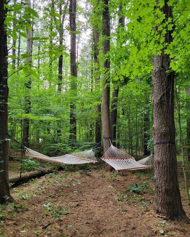 Log Cabin 3 at Osborn Boat Ramp on Patoka Lake in Patoka Lake