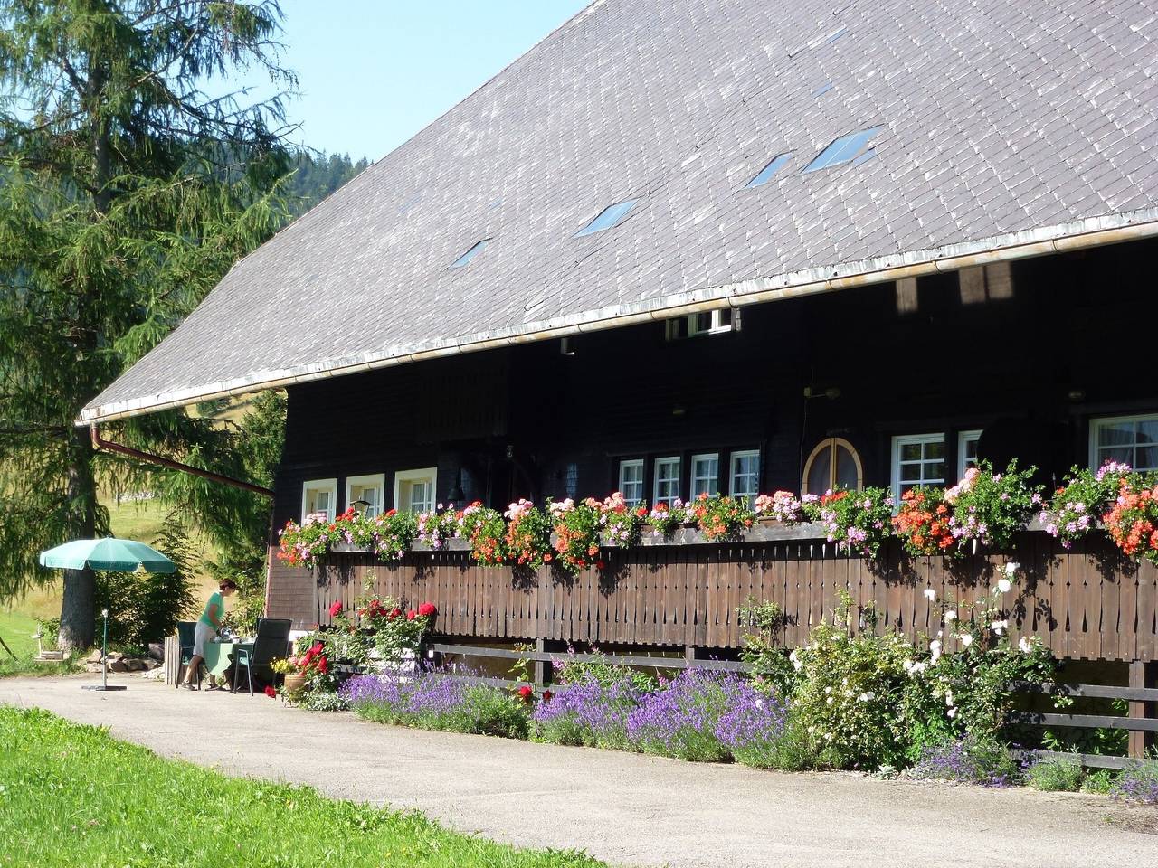 Ganze Wohnung, Ferienwohnung 'Kammbühlhof' mit Bergblick, privater Terrasse und Wlan in St. Blasien, Südschwarzwald