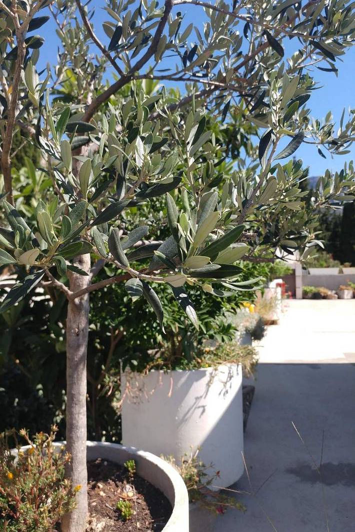 Ferienwohnung für 5 Personen, mit Balkon in Brist - 4