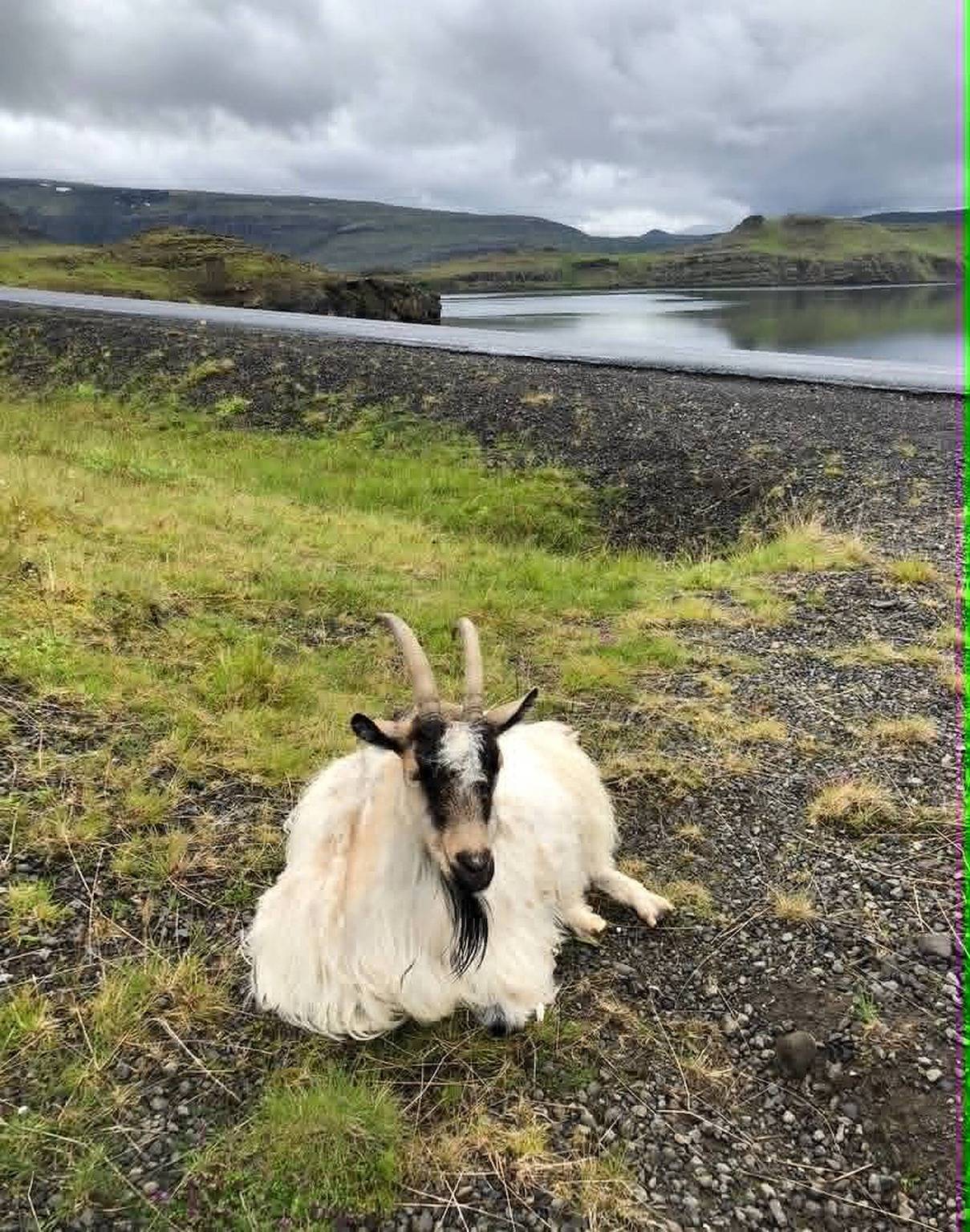 Ruhiger Rückzugsort auf dem Land in Hvalfjordur, Island in Hvalfjarðarsveit