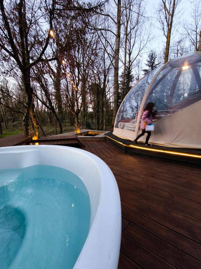 Gîte pour 4 personnes, avec terrasse et jardin ainsi que vue et sauna à Couvin - 4