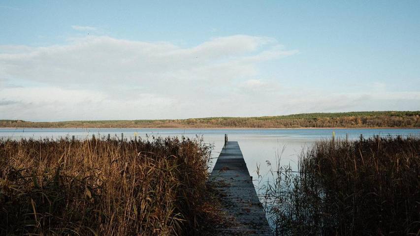 Ferienwohnung für 4 Personen, mit Garten und Sauna sowie Ausblick, kinderfreundlich in Storkow - 2