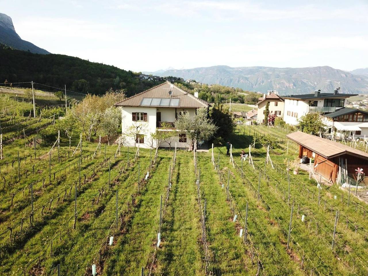 Appartement entier, Appartement « Weingut Hochleiten » avec vue sur la montagne, balcon et Wi-Fi in Oberplanitzing, Caldaro sulla Strada del Vino