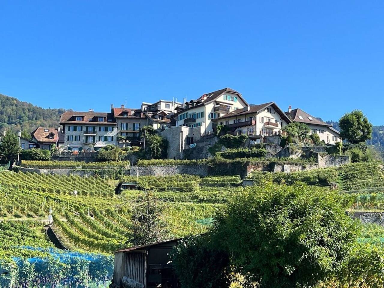 La Vigneronne, Garden in Montreux, Genfer See