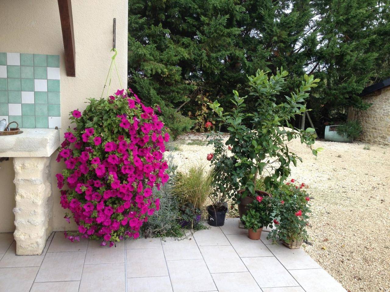 Double Room with Garden View in Saint-Estèphe, Région de Lesparre-Médoc