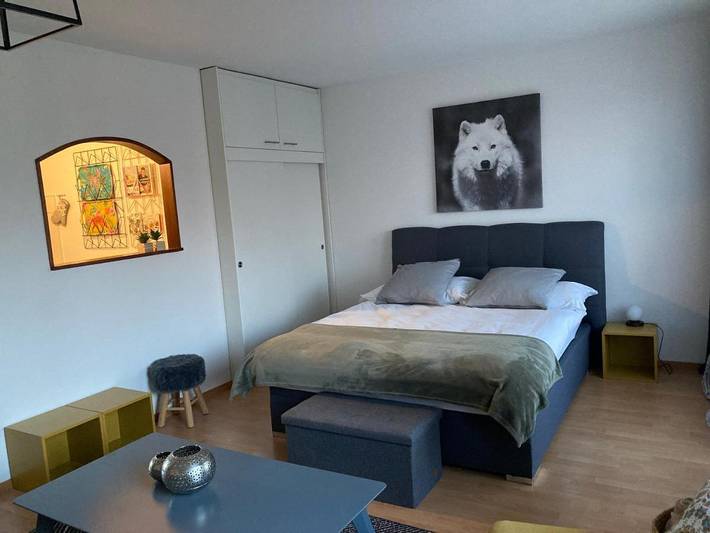 Gîte pour 2 personnes, avec balcon ainsi que vue et piscine, animaux acceptés à Fribourg - 3