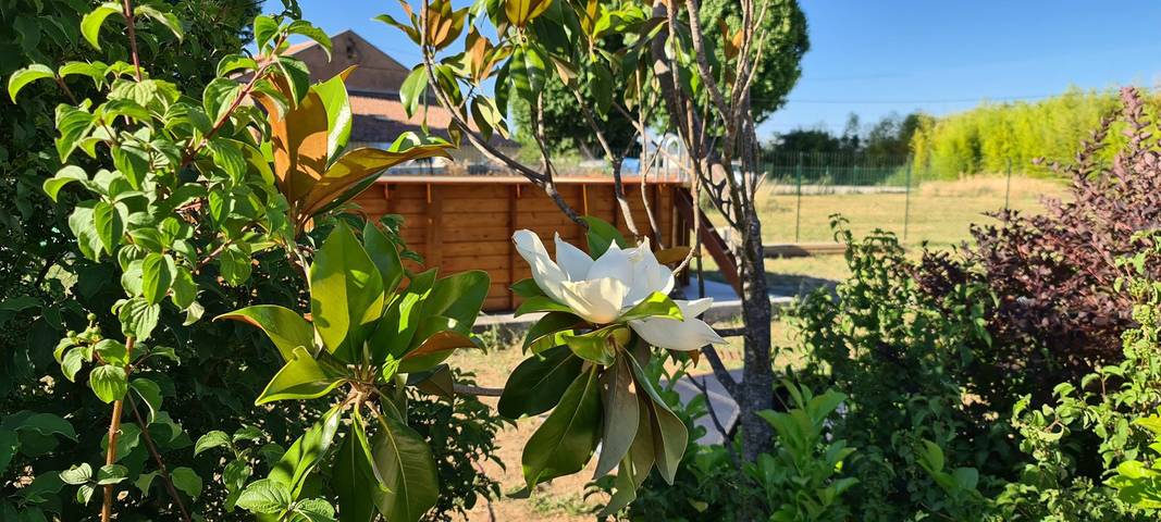 Gîte pour 2 personnes, avec terrasse ainsi que piscine et jardin à Trets - 3