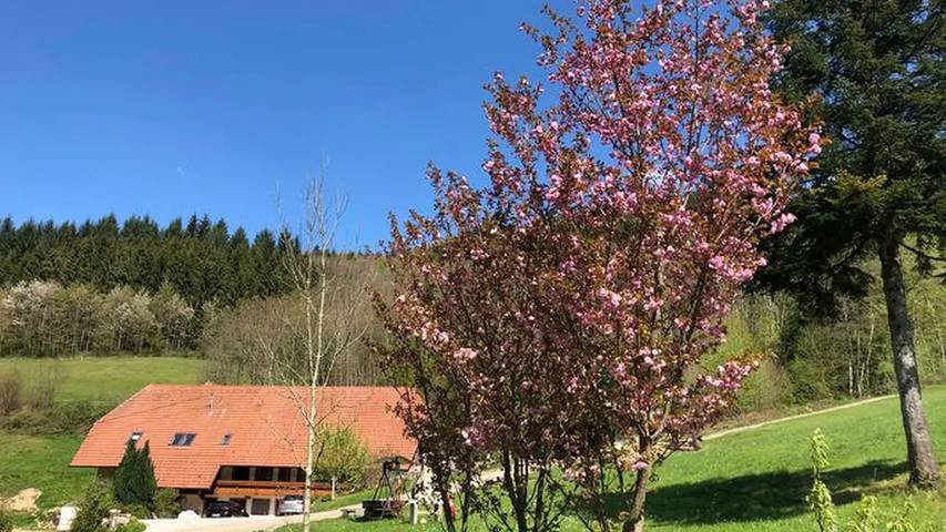 Ferienwohnung für 3 Personen, mit Balkon und Garten in Suedlicher Schwarzwald