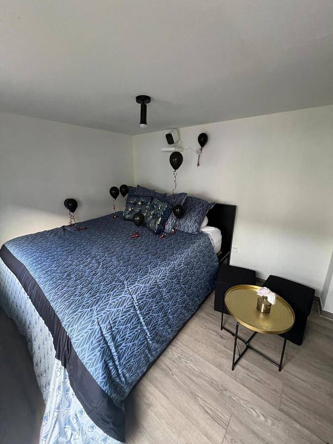 Gîte pour 4 personnes, avec jardin ainsi que jacuzzi et piscine à Lens - 3