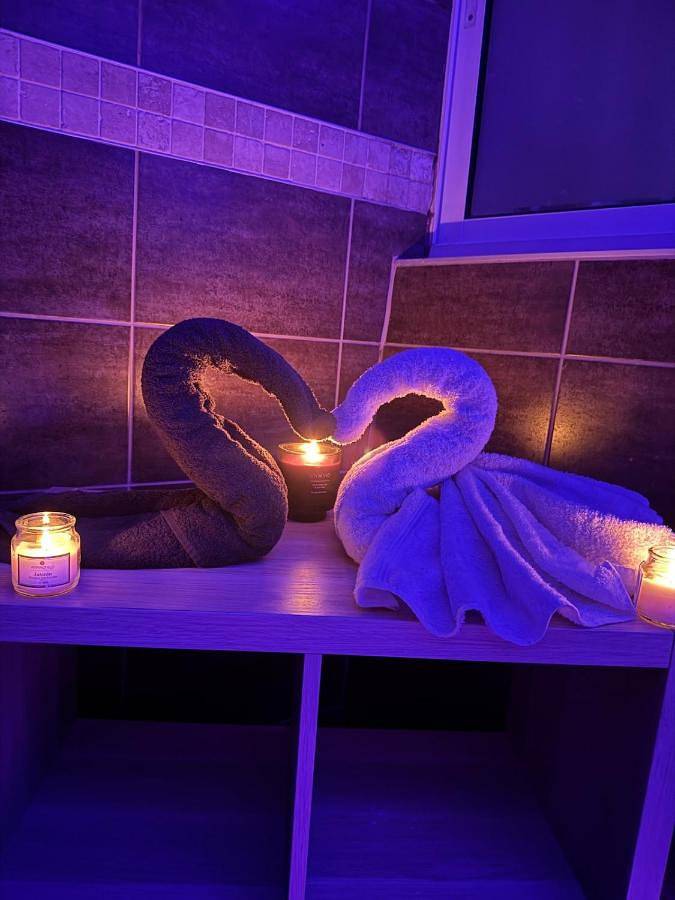 Gîte pour 2 personnes, avec sauna et jacuzzi à Le Haillan - 3