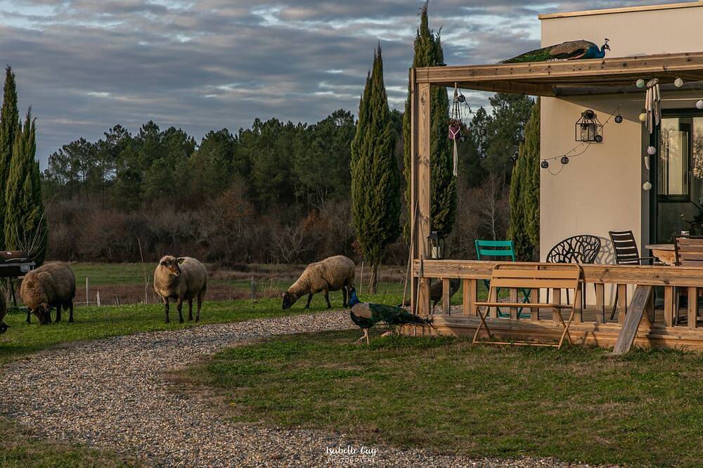 Photo : Maison de vacances